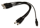 AMP CD-6